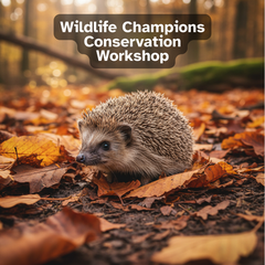 Wildlife Champions - Conservation Workshop